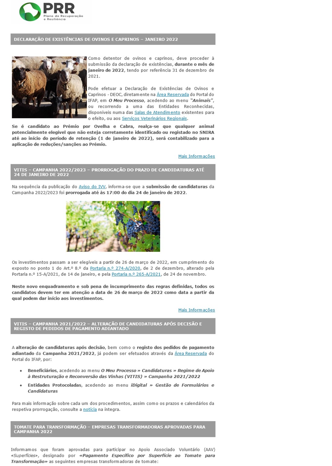 Newsletter IFAP n.º 117 - dezembro 2021 - bloco 2