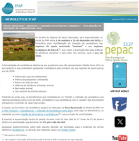 Ícone Newsletter IFAP 09.2025