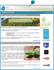 Ícone Newsletter IFAP 06.2025