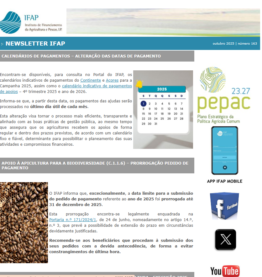 Ícone Newsletter IFAP 10.2025