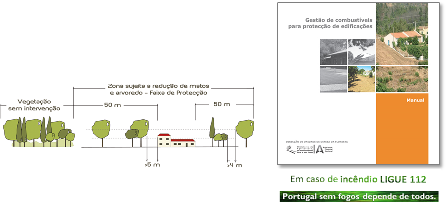 AJUDE A PROTEGER A NOSSA FLORESTA