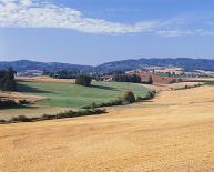 OVIBEJA