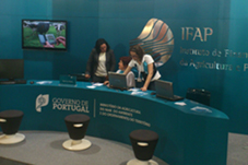 foto stand na Ovibeja