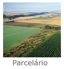 fotografia parcelas agrícolas