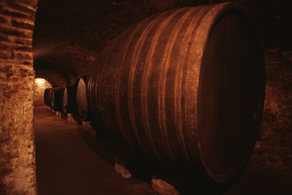 fotografia de pipas de vinho