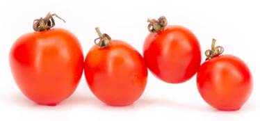 Pagamento Específico por Superfície ao Tomate para Transformação - imagem