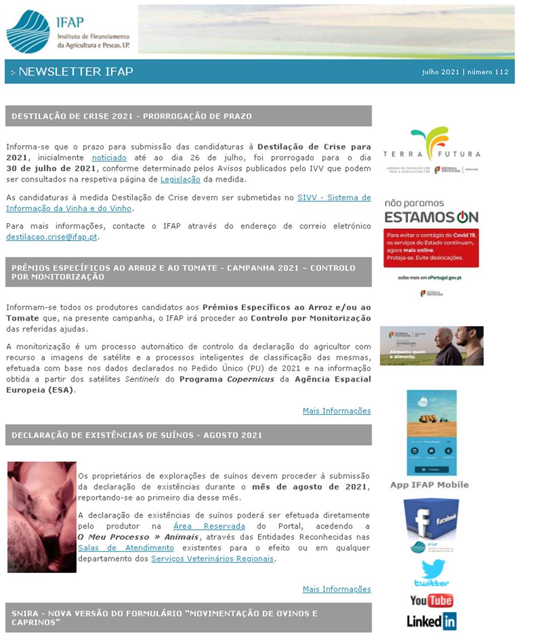 Newsletter IFAP - bloco 1