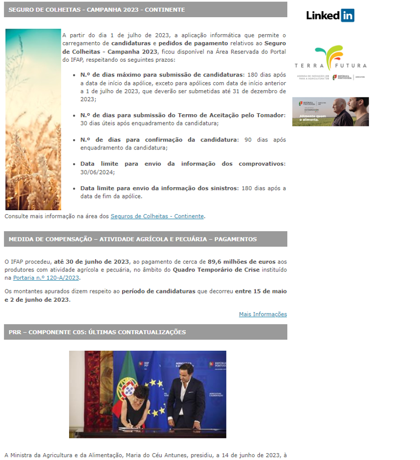Newsletter IFAP - bloco 2