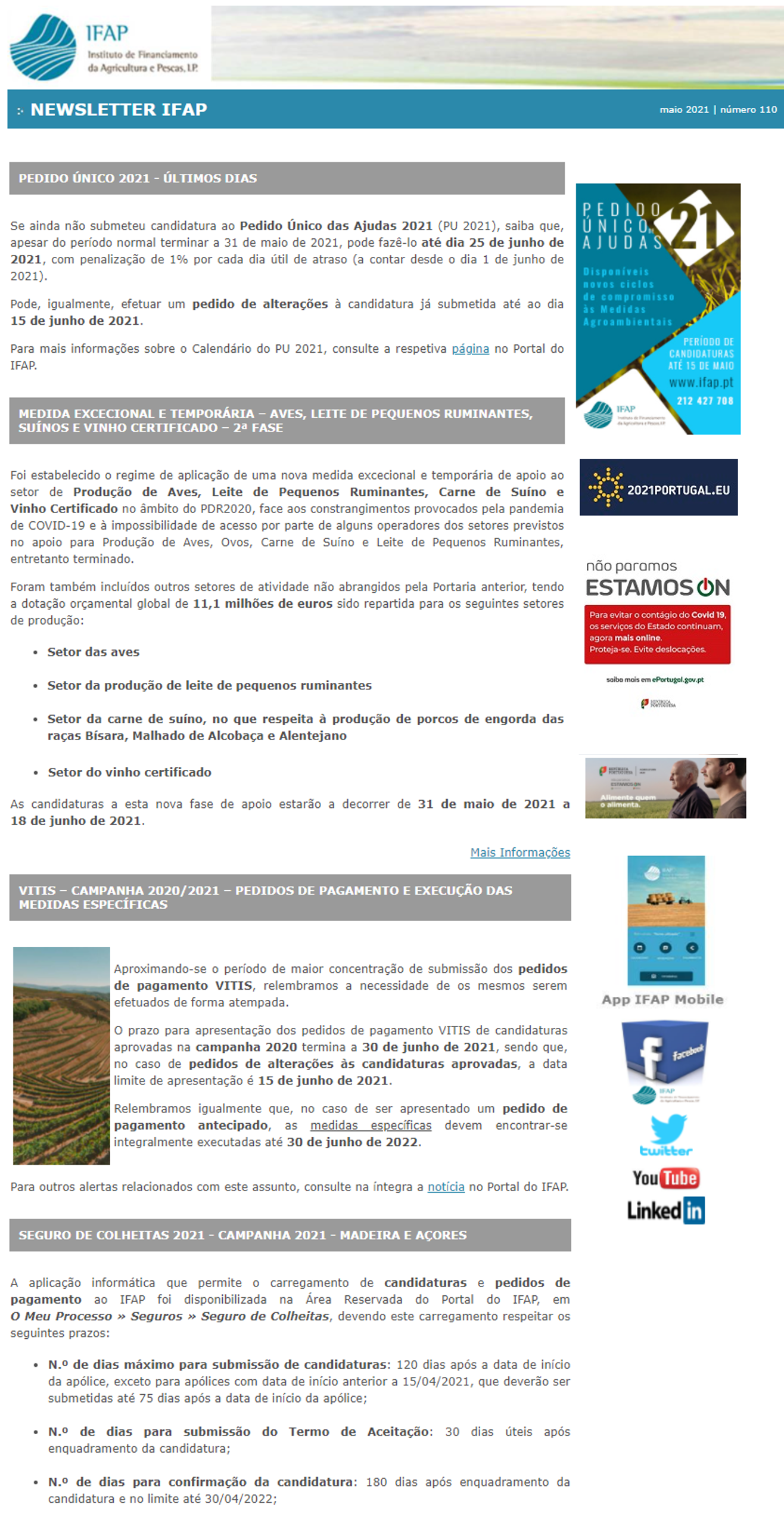 Newsletter IFAP - bloco 1