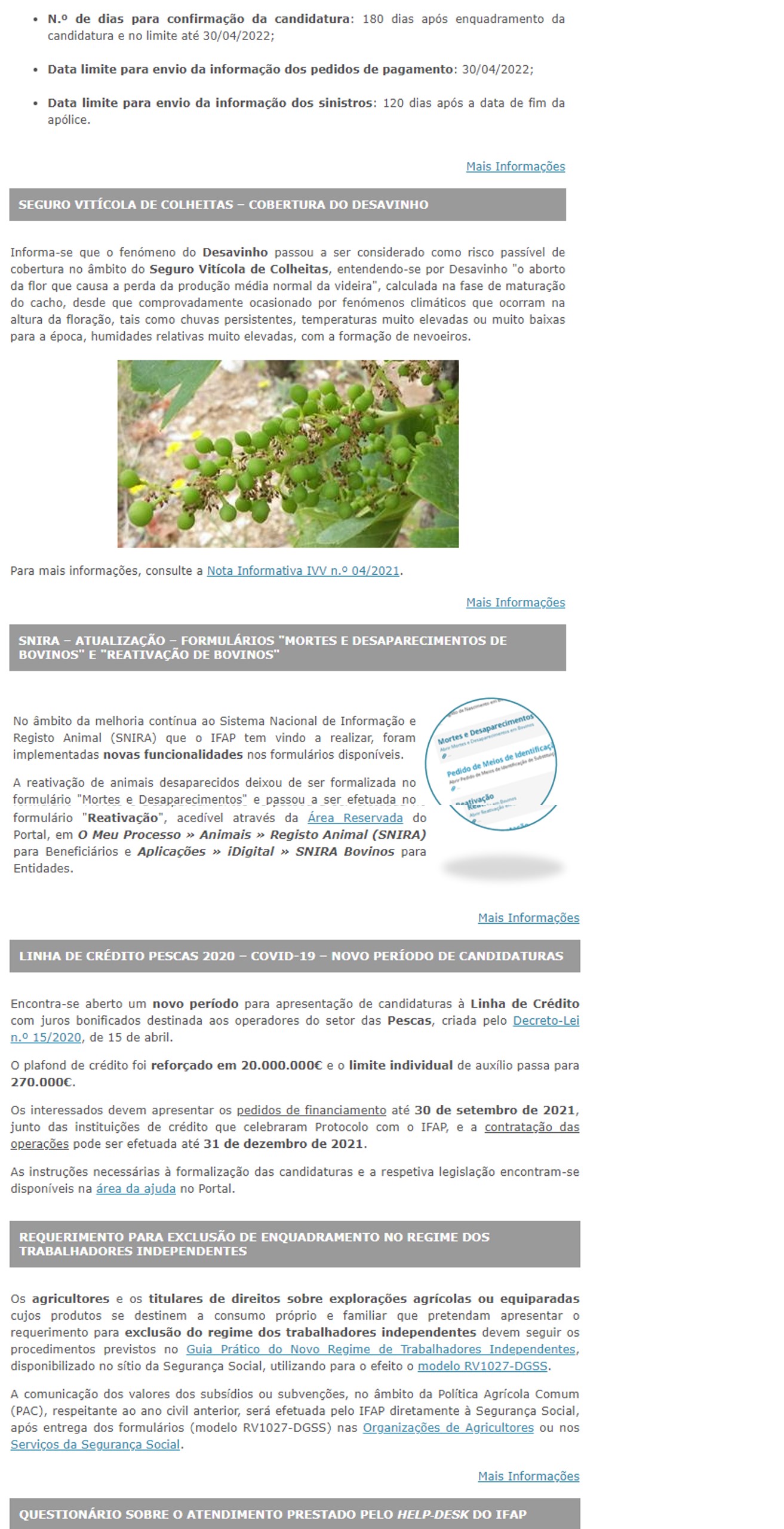 Newsletter IFAP - bloco 2