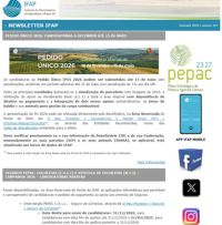 Ícone Newsletter IFAP 01.2026
