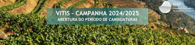 banner notícia VITIS 2024-2025 abertura candidaturas