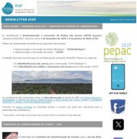 Ícone Newsletter IFAP 11.2025