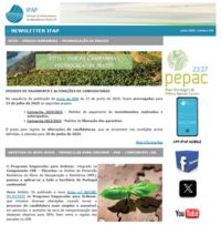 Ícone Newsletter IFAP 05.2025